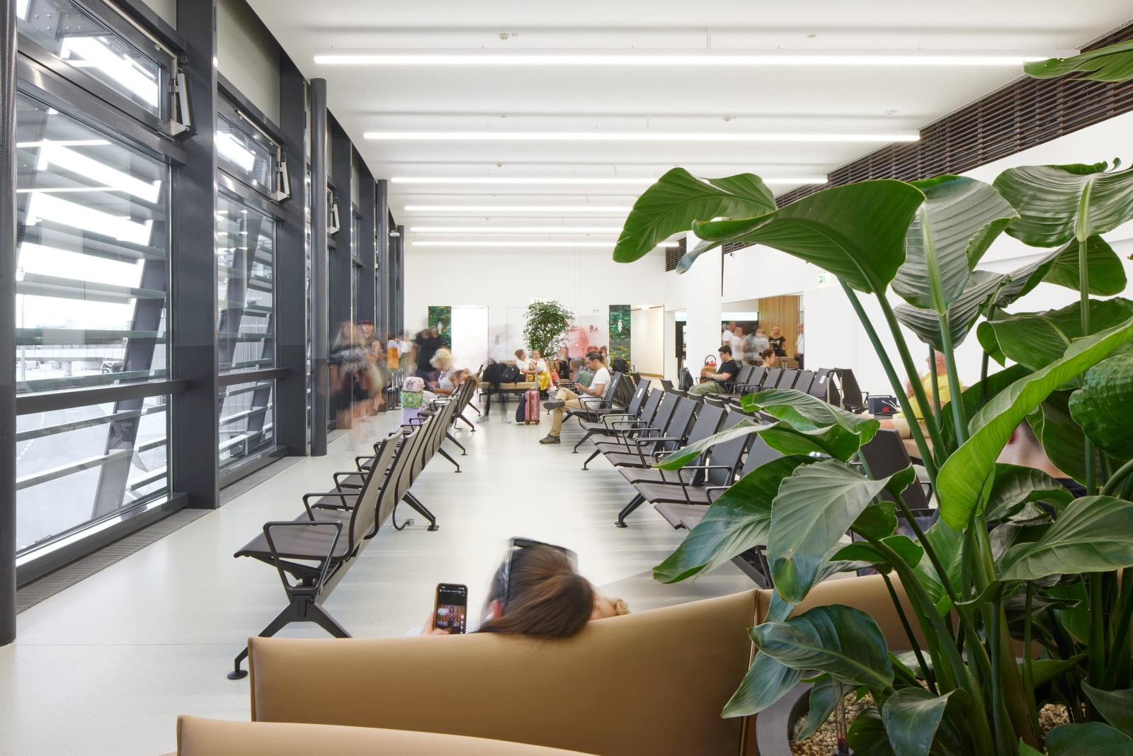 Helle Besucherwartezone mit Reihenbestuhlung, Pflanzeninseln und Blick auf das Vorfeld im Pier Ost des Flughafens Wien.