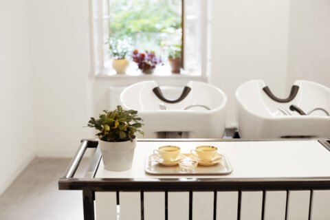 Detailaufnahme mit zwei Waschbecken, Pflanze und Teetassen – moderne, helle Innenarchitektur verbindet Funktionalität mit Wohlfühl-Atmosphäre.