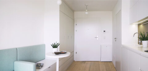 Eingang mit weißer Tür, integrierten Schränken und Holzfußboden