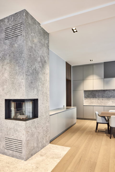 Moderner Wohnraum mit Naturstein-Kamin, Einbauten in Grau und hellem Holzboden.